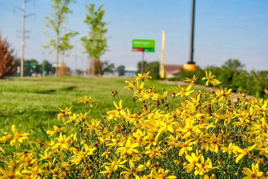 Expert garden landscaping for outdoor upgrades in Liberal, KS by GAS Lawn Pros