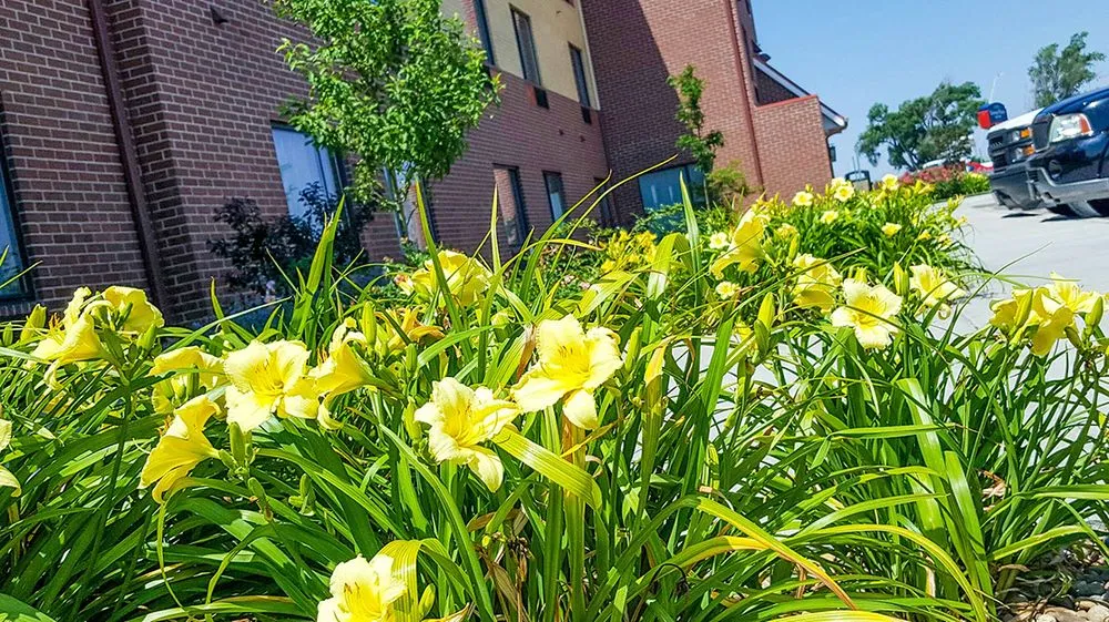 Top-rated lawn care service for homes across Liberal, KS - GAS Lawn Pros