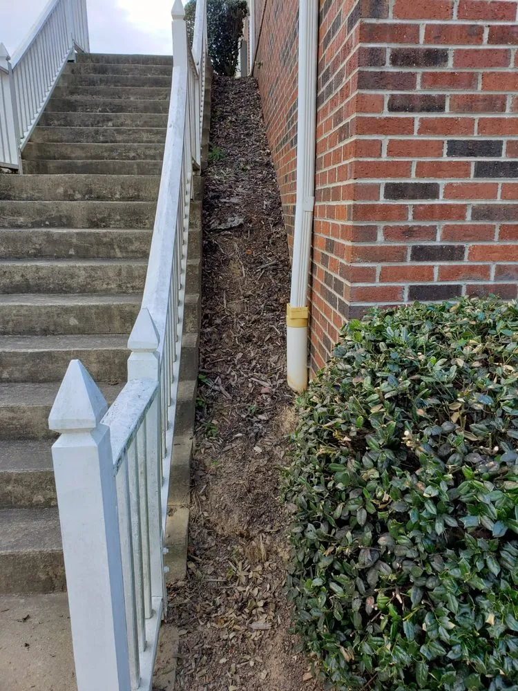 Custom yard cleanup service experts serving Biltmore Forest, NC - Gaspar Correa Landscaping