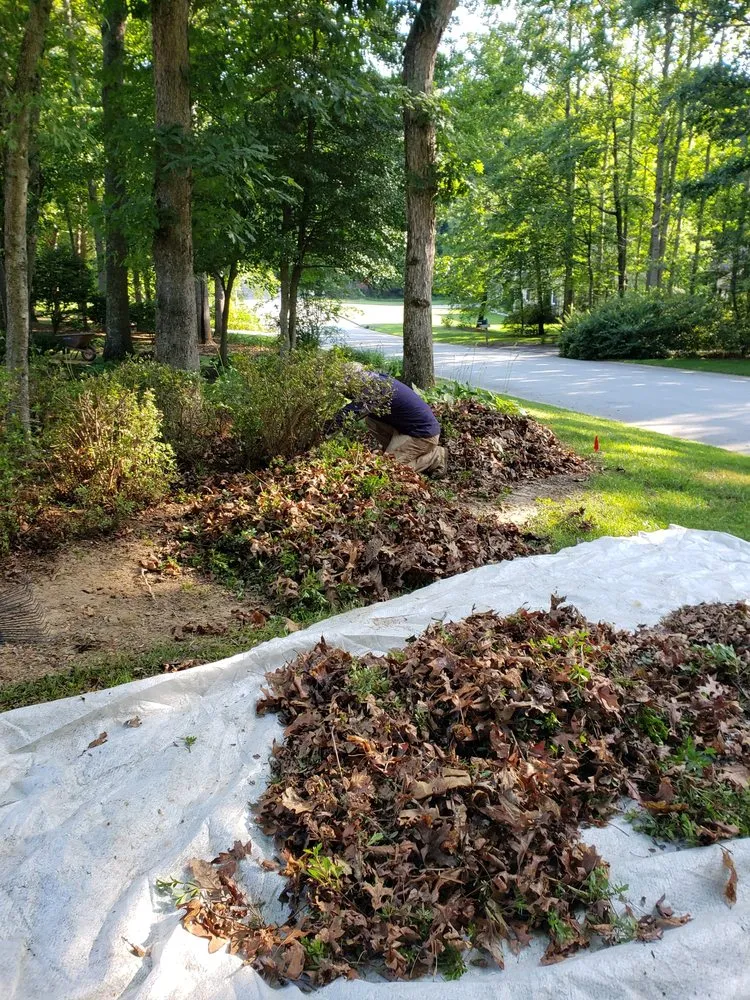 Reliable yard maintenance for beautiful yards across Biltmore Forest, NC - Gaspar Correa Landscaping