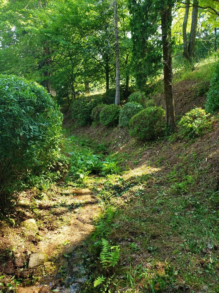 Trusted landscape installation for outdoor upgrades across Biltmore Forest, NC - Gaspar Correa Landscaping
