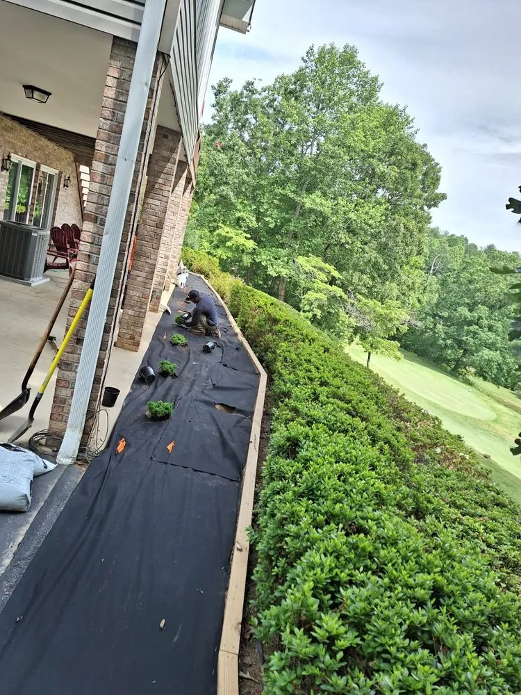 Local lawn mowing service for year-round maintenance across Biltmore Forest, NC - Gaspar Correa Landscaping