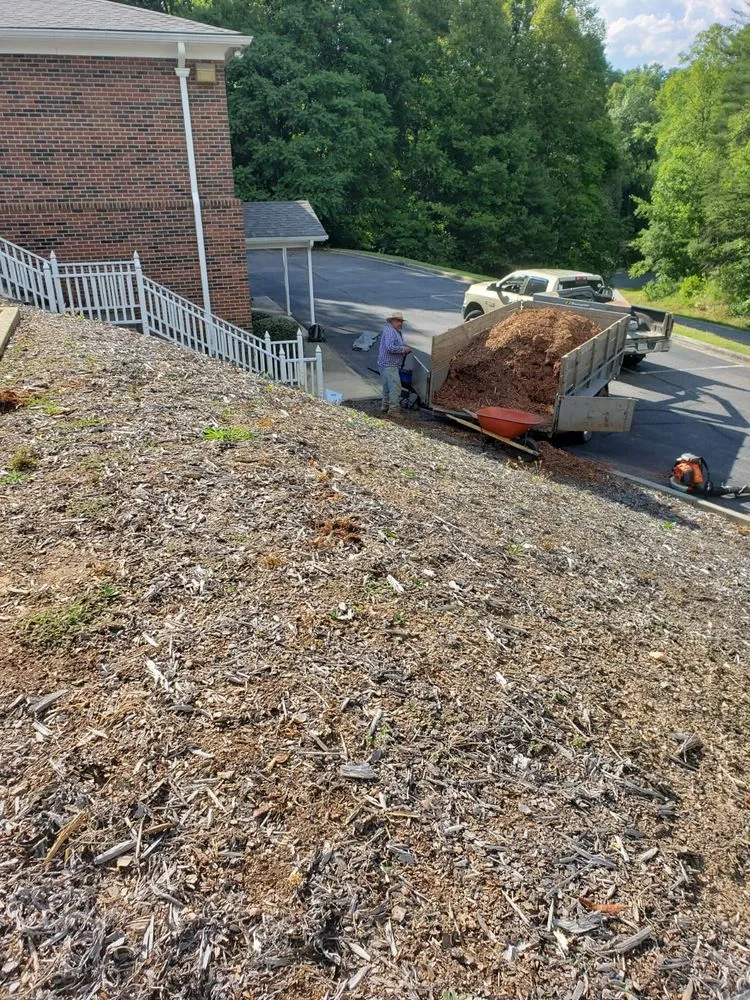 Reliable landscaping services for residential properties in Biltmore Forest, NC by Gaspar Correa Landscaping