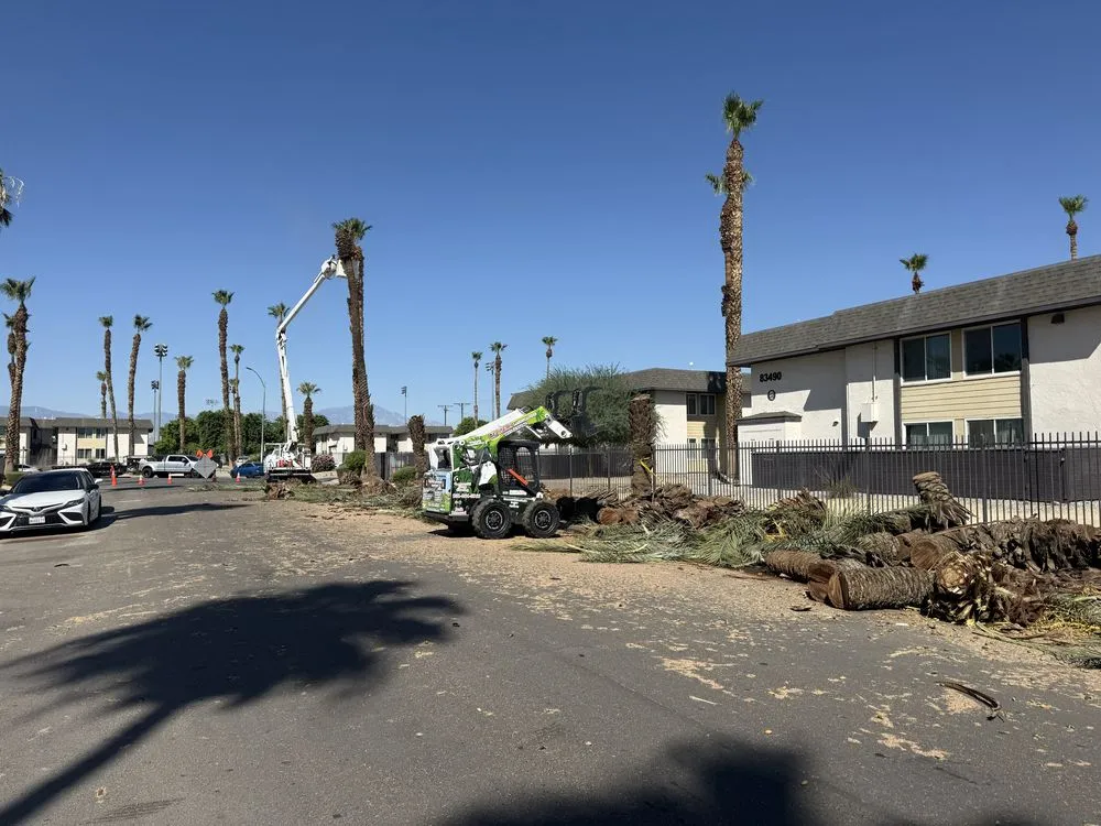 Reliable landscape installation for homes across Riverside, CA - Gaspar Landscaping & Tree Service