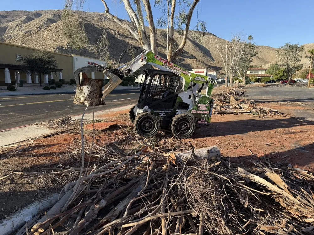 Top-rated landscape installation for year-round maintenance across Riverside, CA - Gaspar Landscaping & Tree Service