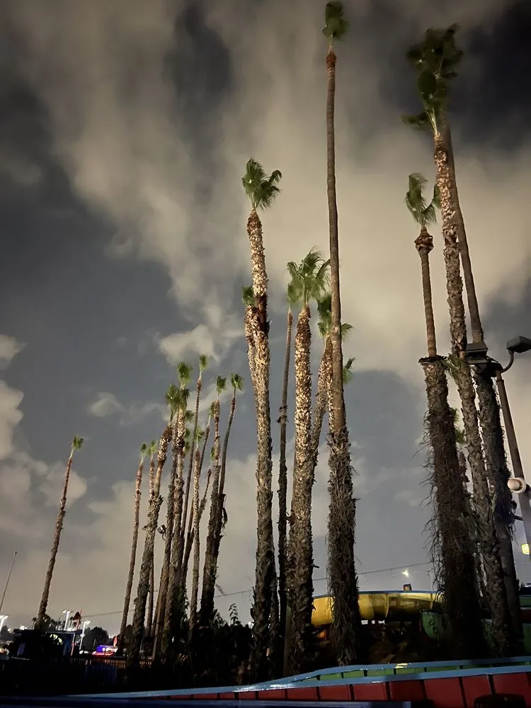 Professional residential landscaping with custom design in Riverside, CA by Gaspar Landscaping & Tree Service