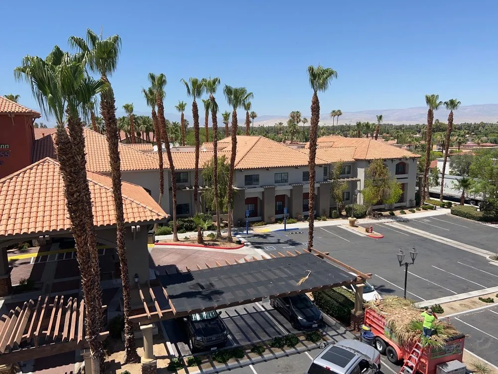 Custom landscape installation for year-round maintenance in Riverside, CA by Gaspar Landscaping & Tree Service