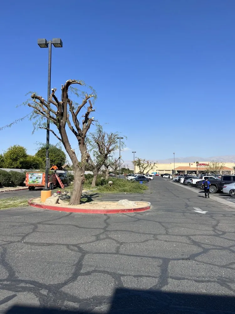 Local yard maintenance experts serving Riverside, CA - Gaspar Landscaping & Tree Service