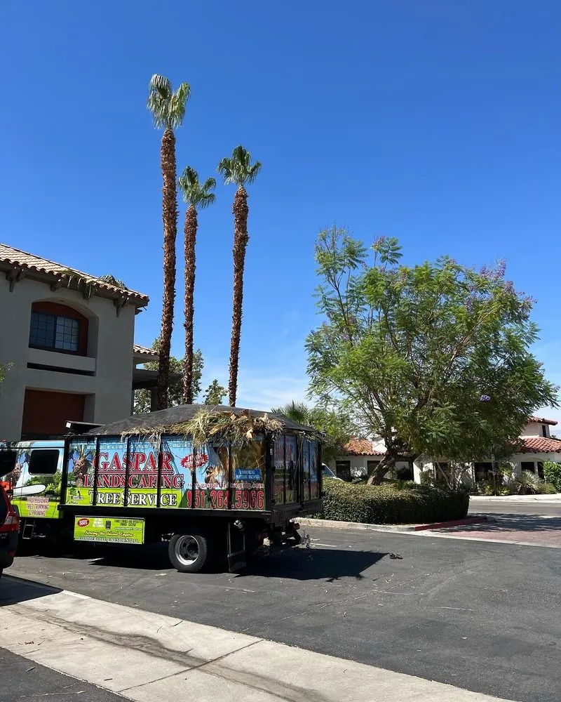 Trusted yard maintenance for beautiful yards across Riverside, CA - Gaspar Landscaping & Tree Service