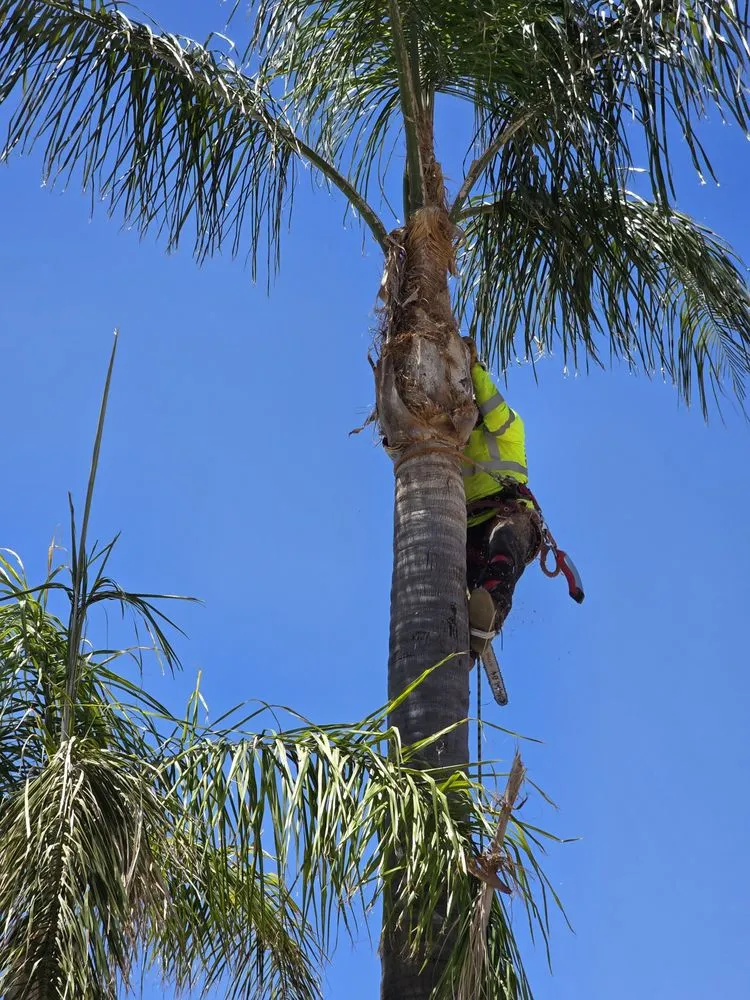 Expert landscaping services with custom design across Riverside, CA - Gaspar Landscaping & Tree Service