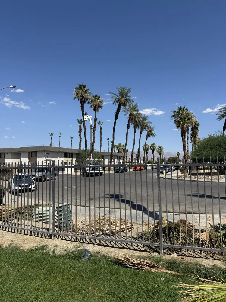 Trusted residential landscaping in Riverside, CA - Gaspar Landscaping & Tree Service