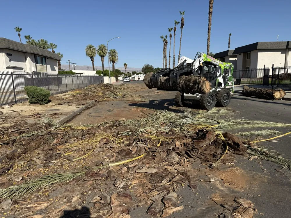 Affordable landscape installation in Riverside, CA by Gaspar Landscaping & Tree Service