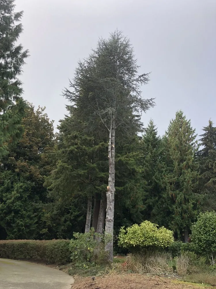 Custom garden landscaping in Shelton, WA by Gaspar Landscaping