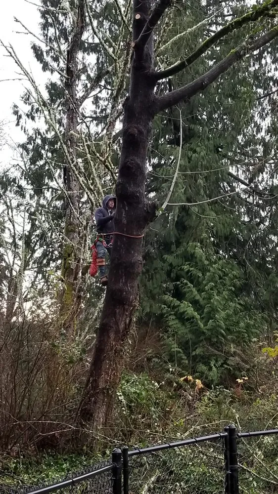 Expert outdoor landscaping in Shelton, WA by Gaspar Landscaping