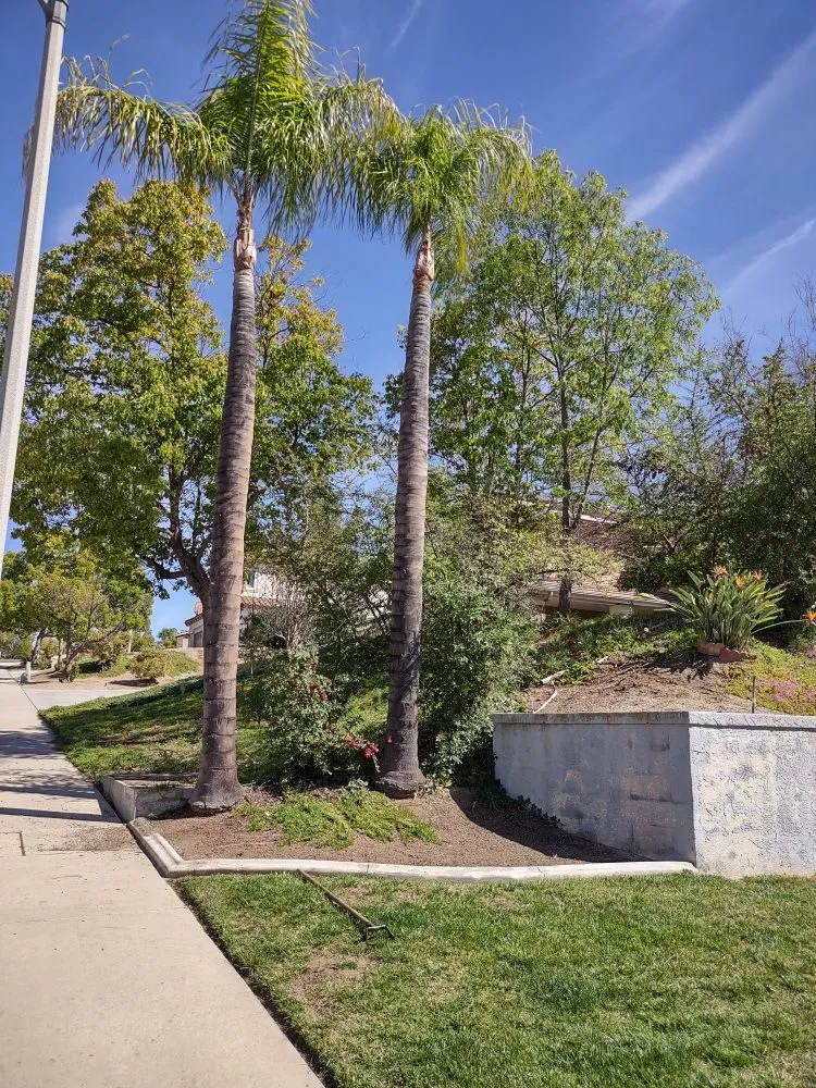 Custom yard maintenance for residential properties in Riverside, CA by Gaspar Pacific Landscaping