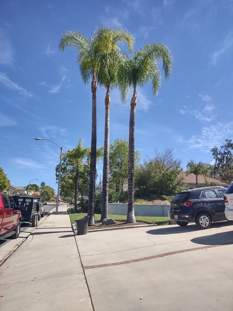 Top-rated landscape installation in Riverside, CA - Gaspar Pacific Landscaping