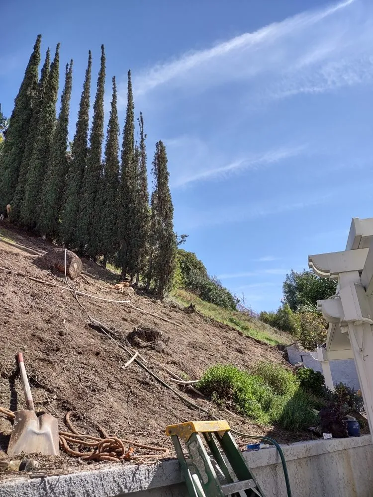 Custom yard maintenance in Riverside, CA by Gaspar Pacific Landscaping