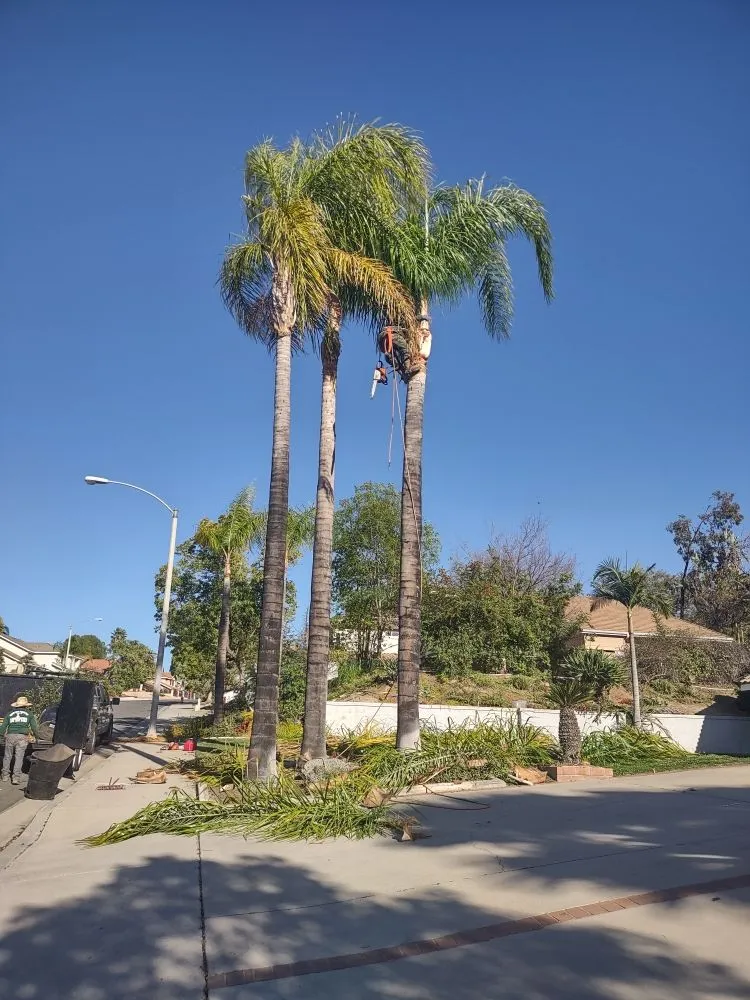 Top-rated residential landscaping in Riverside, CA by Gaspar Pacific Landscaping