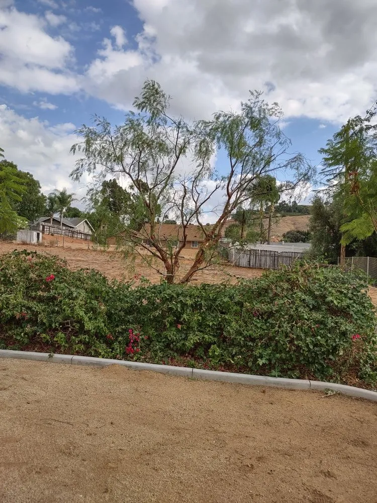 Top-rated yard maintenance in Riverside, CA by Gaspar Pacific Landscaping