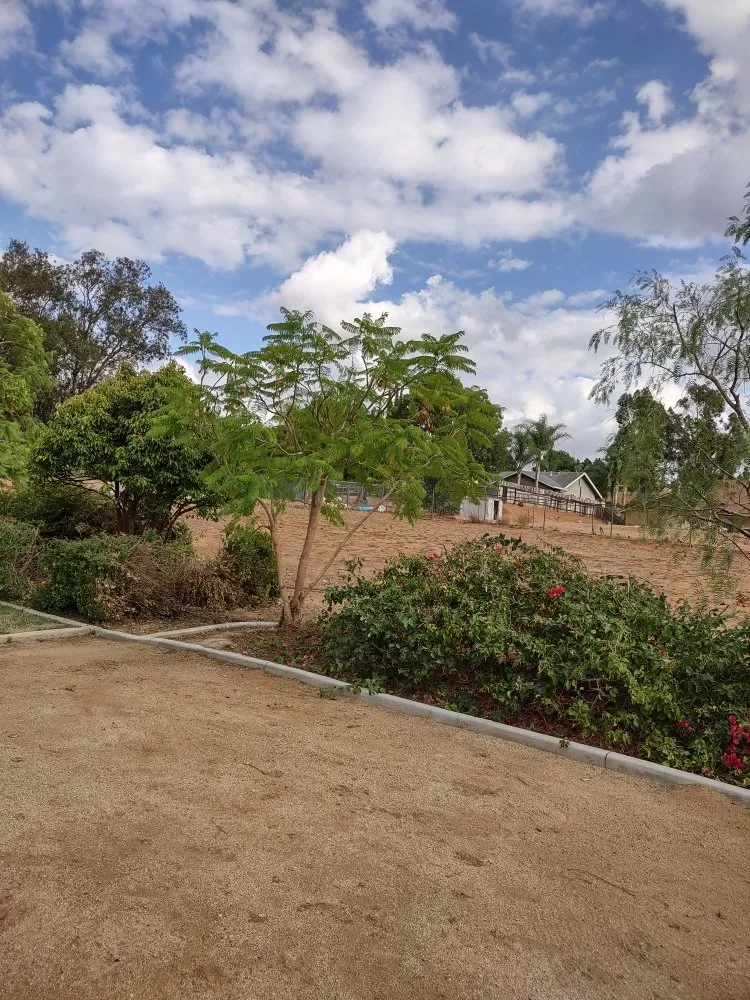 Expert yard cleanup service in Riverside, CA by Gaspar Pacific Landscaping