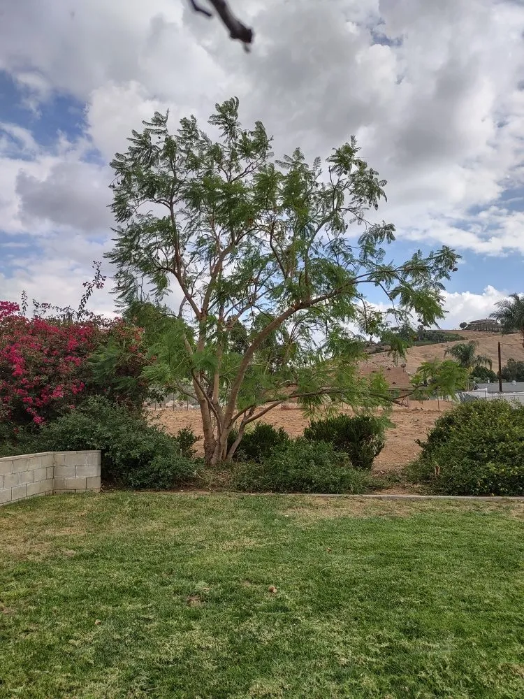 Affordable garden landscaping experts serving Riverside, CA - Gaspar Pacific Landscaping