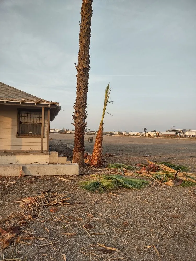 Professional lawn care service experts serving Riverside, CA - Gaspar Pacific Landscaping