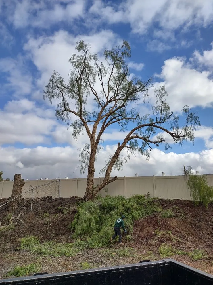 Affordable residential landscaping near you in Riverside, CA by Gaspar Pacific Landscaping