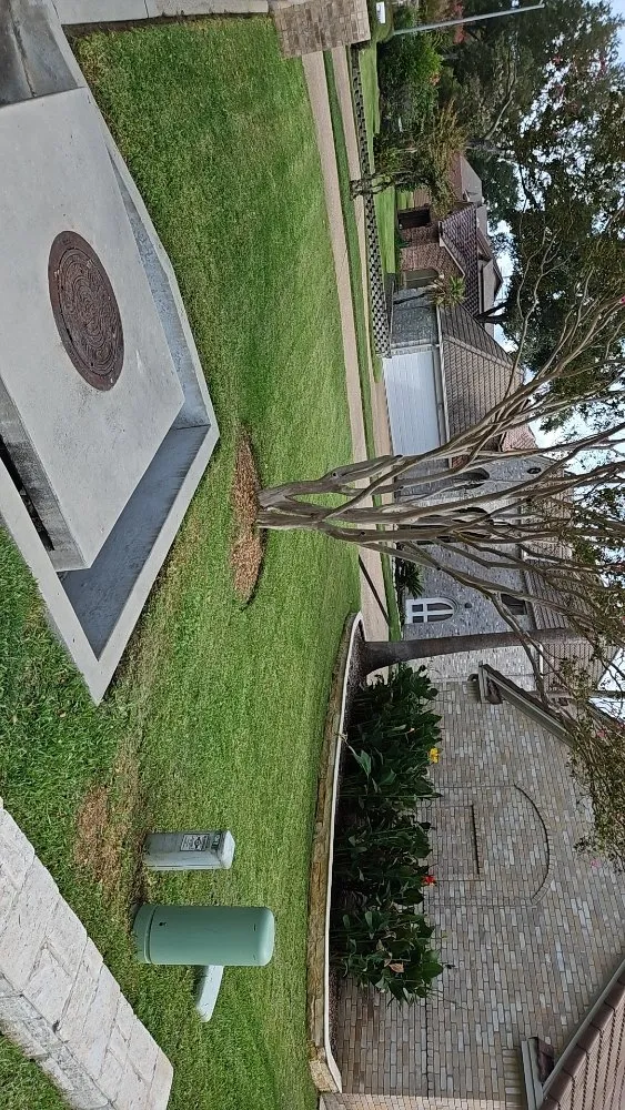 Top-rated lawn mowing service in Montgomery, TX by Gaspar Yard Work