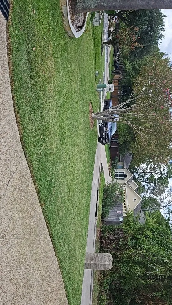 Local outdoor landscaping in Montgomery, TX - Gaspar Yard Work