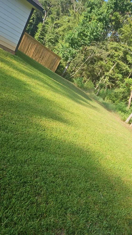 Custom lawn mowing service in Montgomery, TX by Gaspar Yard Work