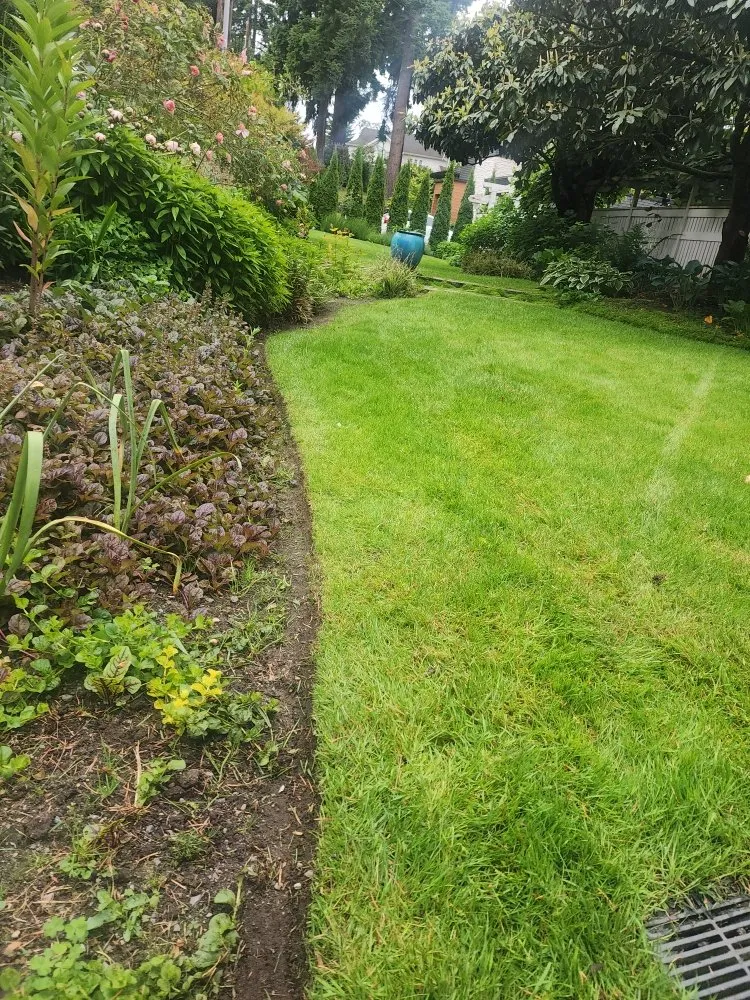 Top-rated landscape design for beautiful yards in Bellevue, WA by Gaspar’s Landscaping and Irrigation