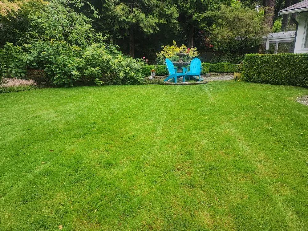 Affordable lawn care service in Bellevue, WA - Gaspar’s Landscaping and Irrigation