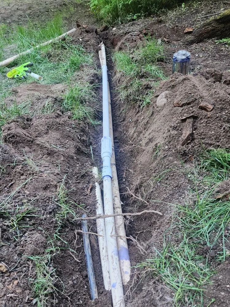 Professional landscape installation in Bellevue, WA by Gaspar’s Landscaping and Irrigation