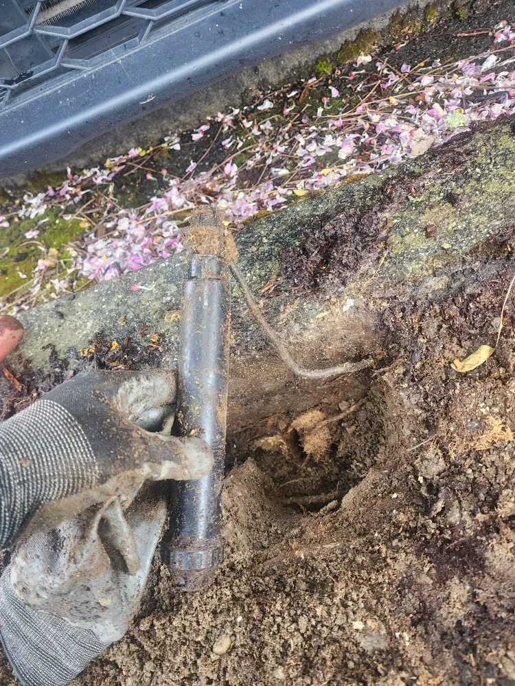 Trusted landscaping services in Bellevue, WA - Gaspar’s Landscaping and Irrigation