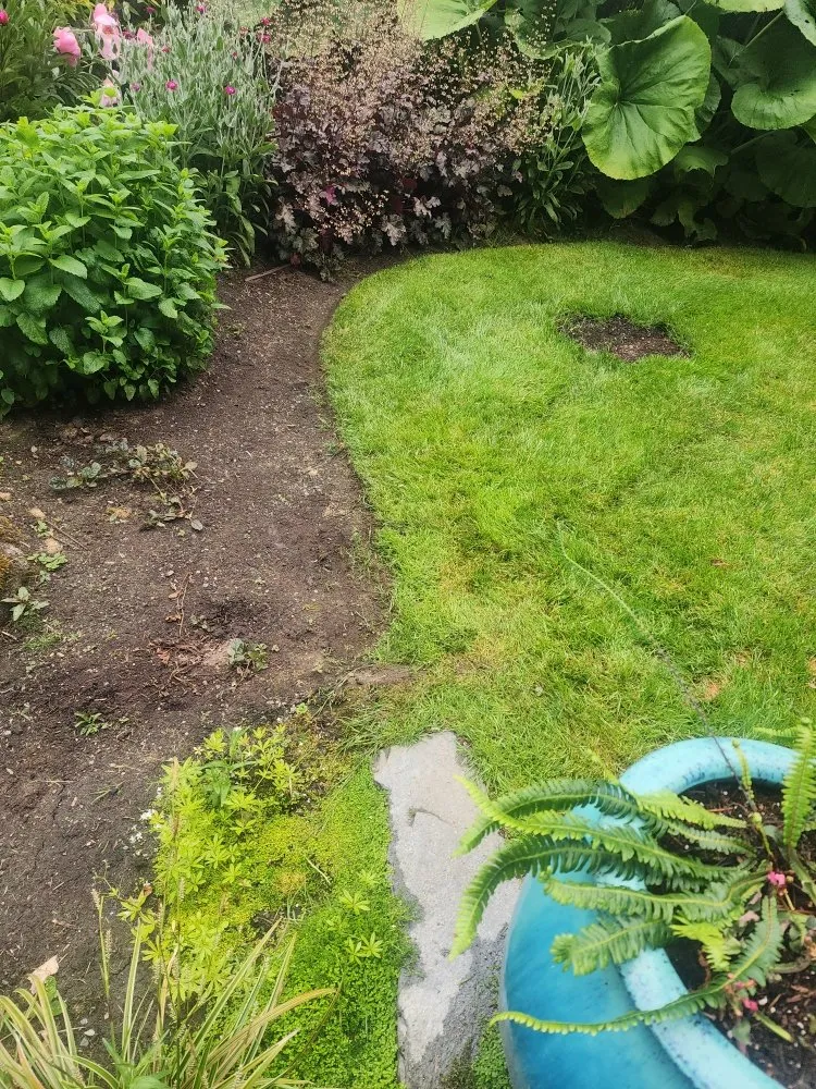 Local lawn care service for residential properties across Bellevue, WA - Gaspar’s Landscaping and Irrigation