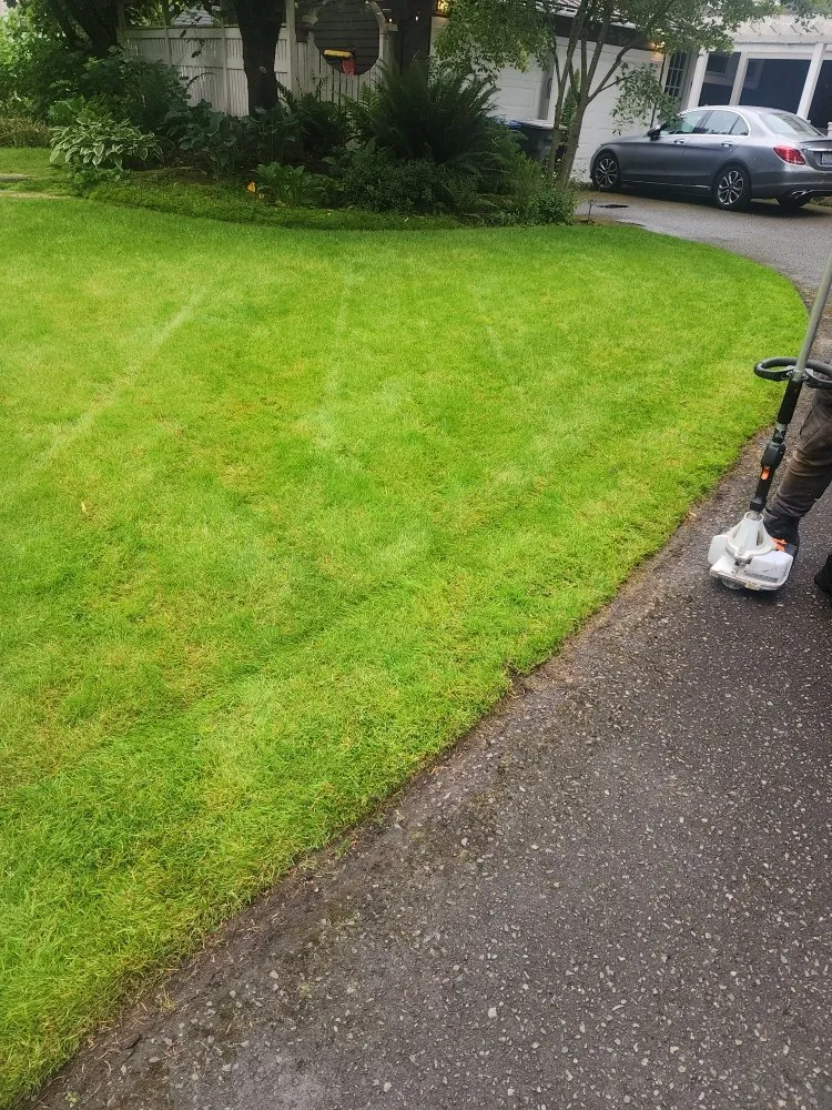 Local outdoor landscaping near you across Bellevue, WA - Gaspar’s Landscaping and Irrigation