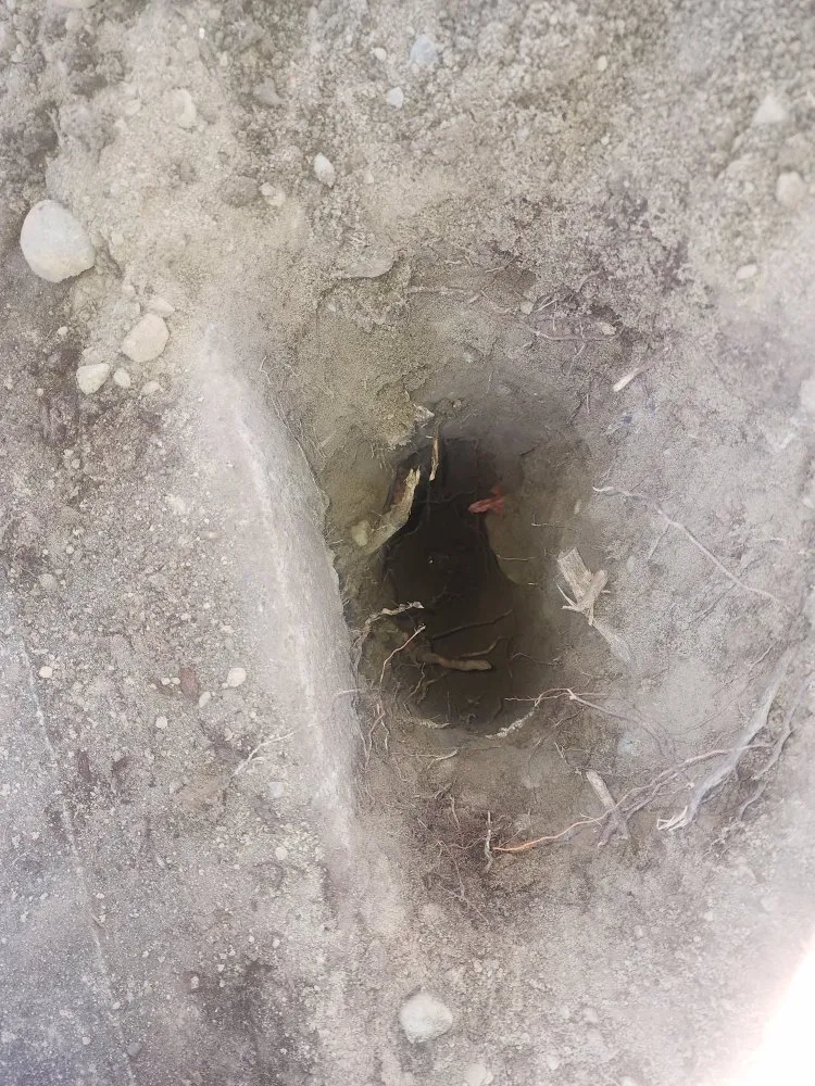 Professional lawn care service experts serving Bellevue, WA - Gaspar’s Landscaping and Irrigation