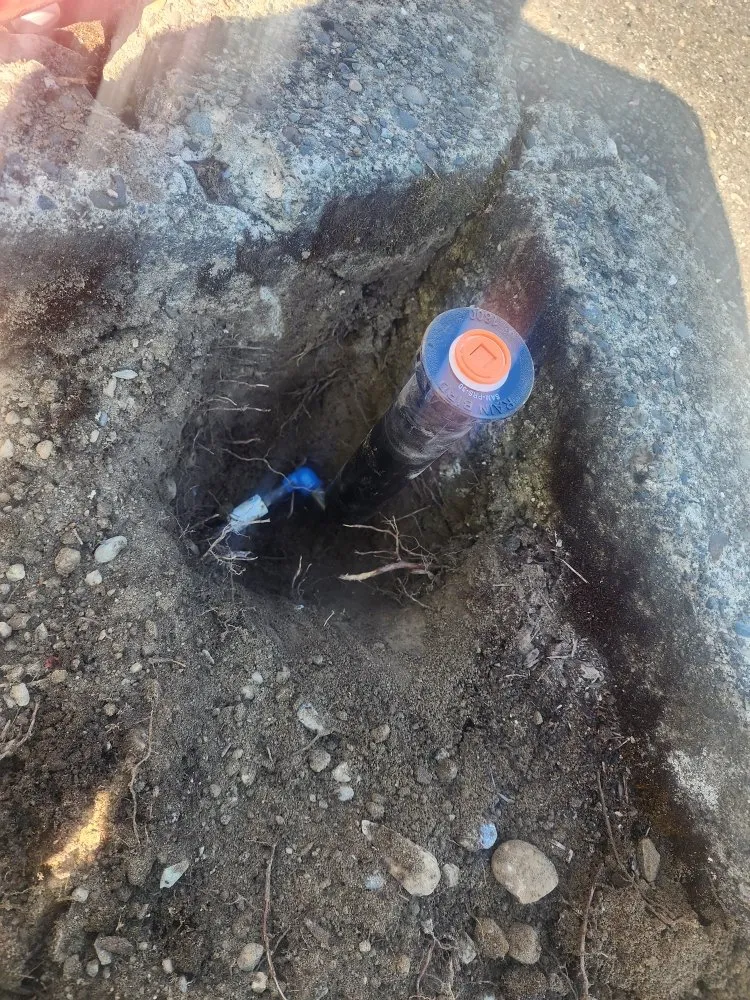 Custom yard cleanup service near you in Bellevue, WA by Gaspar’s Landscaping and Irrigation