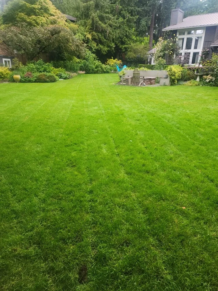 Reliable landscaping services in Bellevue, WA by Gaspar’s Landscaping and Irrigation