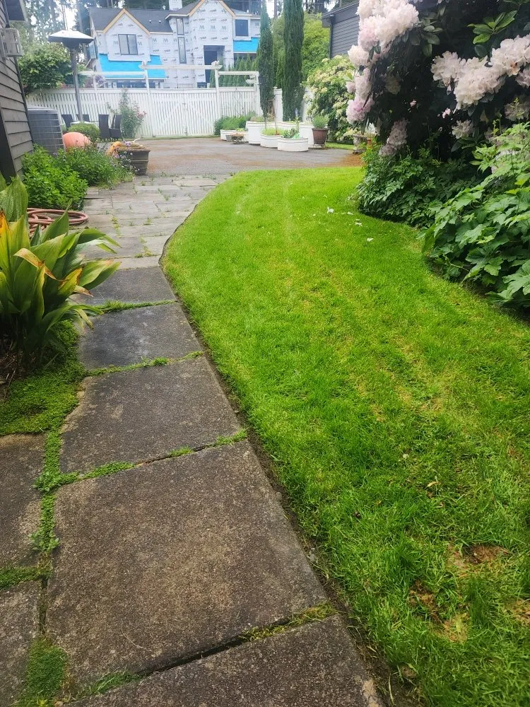 Reliable garden landscaping experts serving Bellevue, WA - Gaspar’s Landscaping and Irrigation
