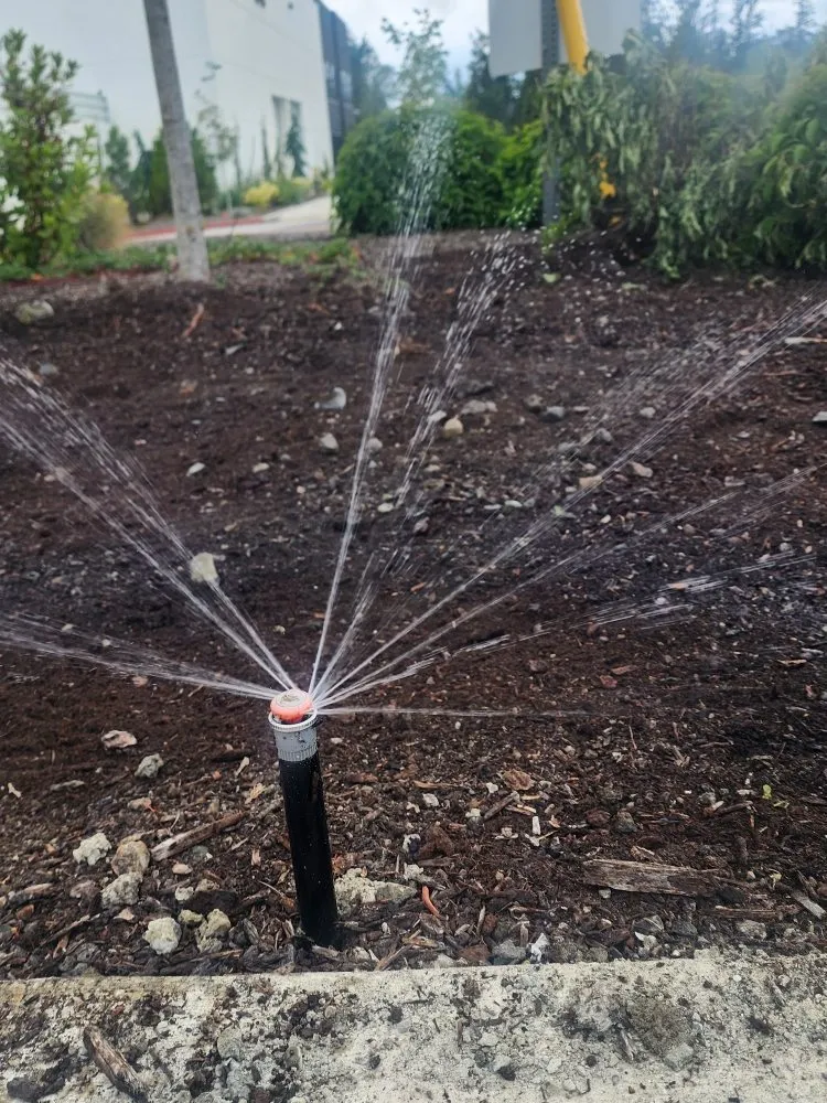 Expert lawn care service with custom design in Bellevue, WA by Gaspar’s Landscaping and Irrigation