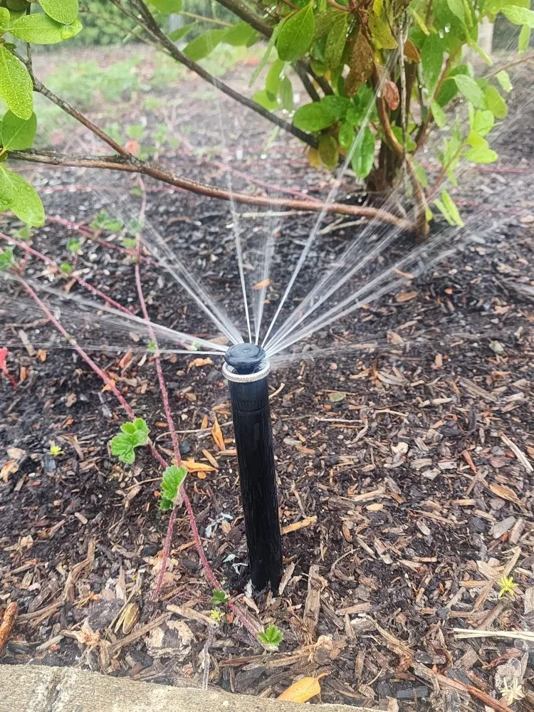 Trusted yard maintenance in Bellevue, WA - Gaspar’s Landscaping and Irrigation