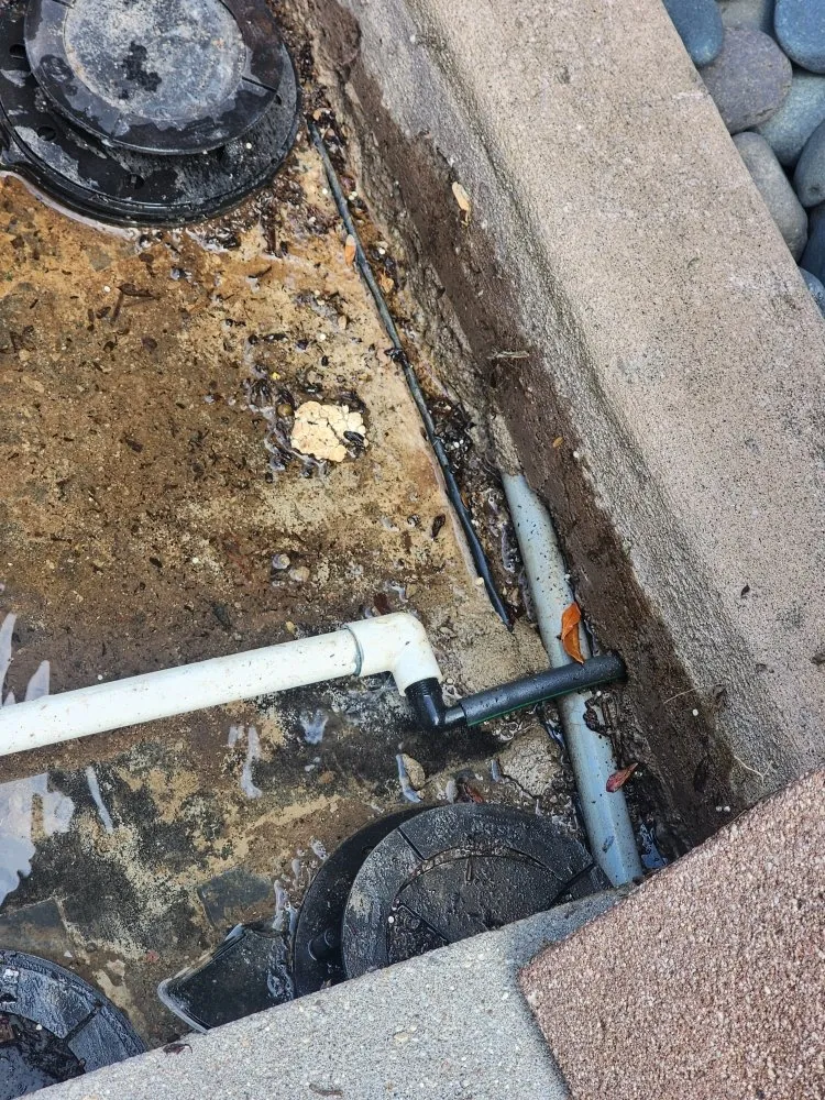 Local lawn mowing service in Bellevue, WA by Gaspar’s Landscaping and Irrigation