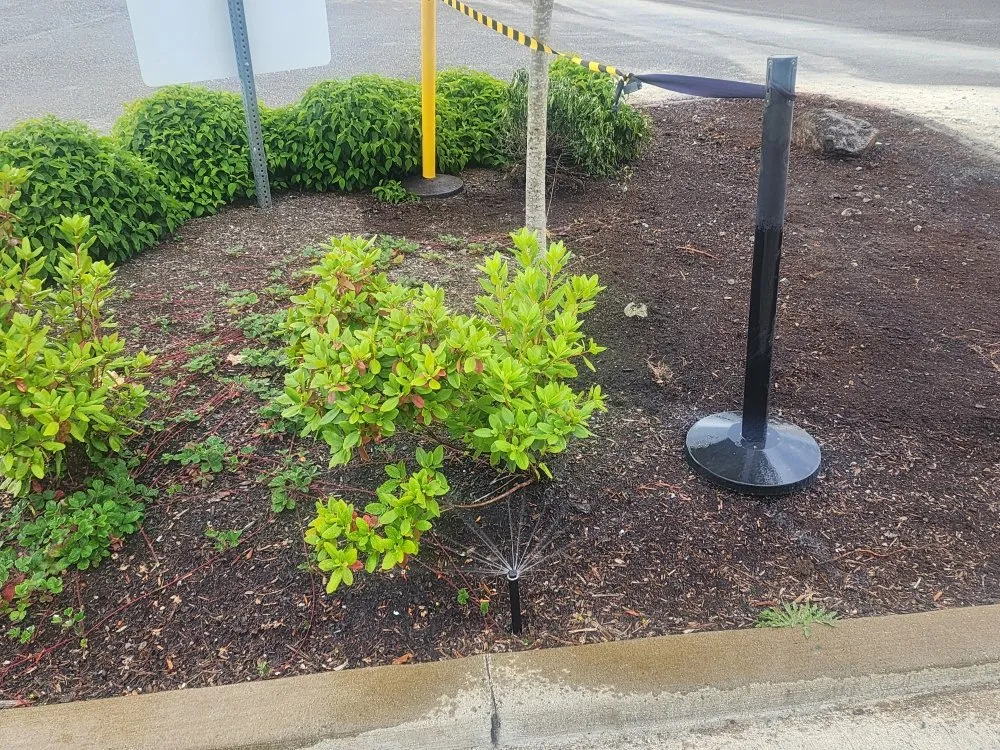 Professional lawn mowing service for outdoor upgrades in Bellevue, WA by Gaspar’s Landscaping and Irrigation