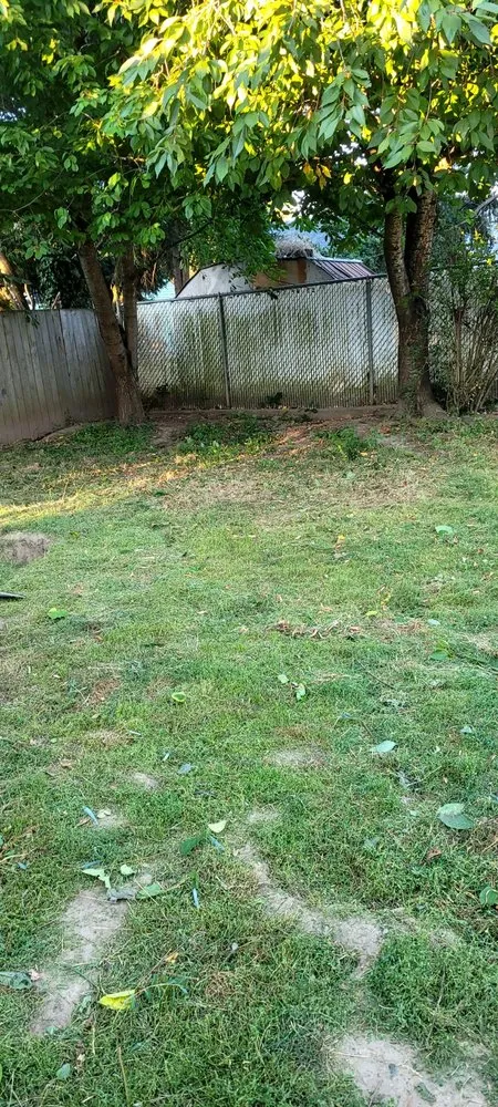 Reliable landscaping services in Vancouver, WA by Gaspar's Landscaping and Pressure Washing