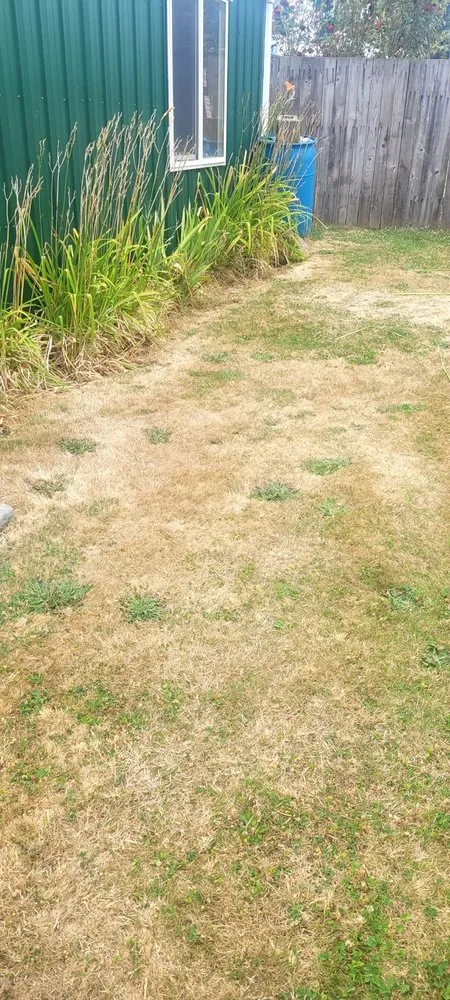 Trusted yard maintenance for beautiful yards in Vancouver, WA by Gaspar's Landscaping and Pressure Washing