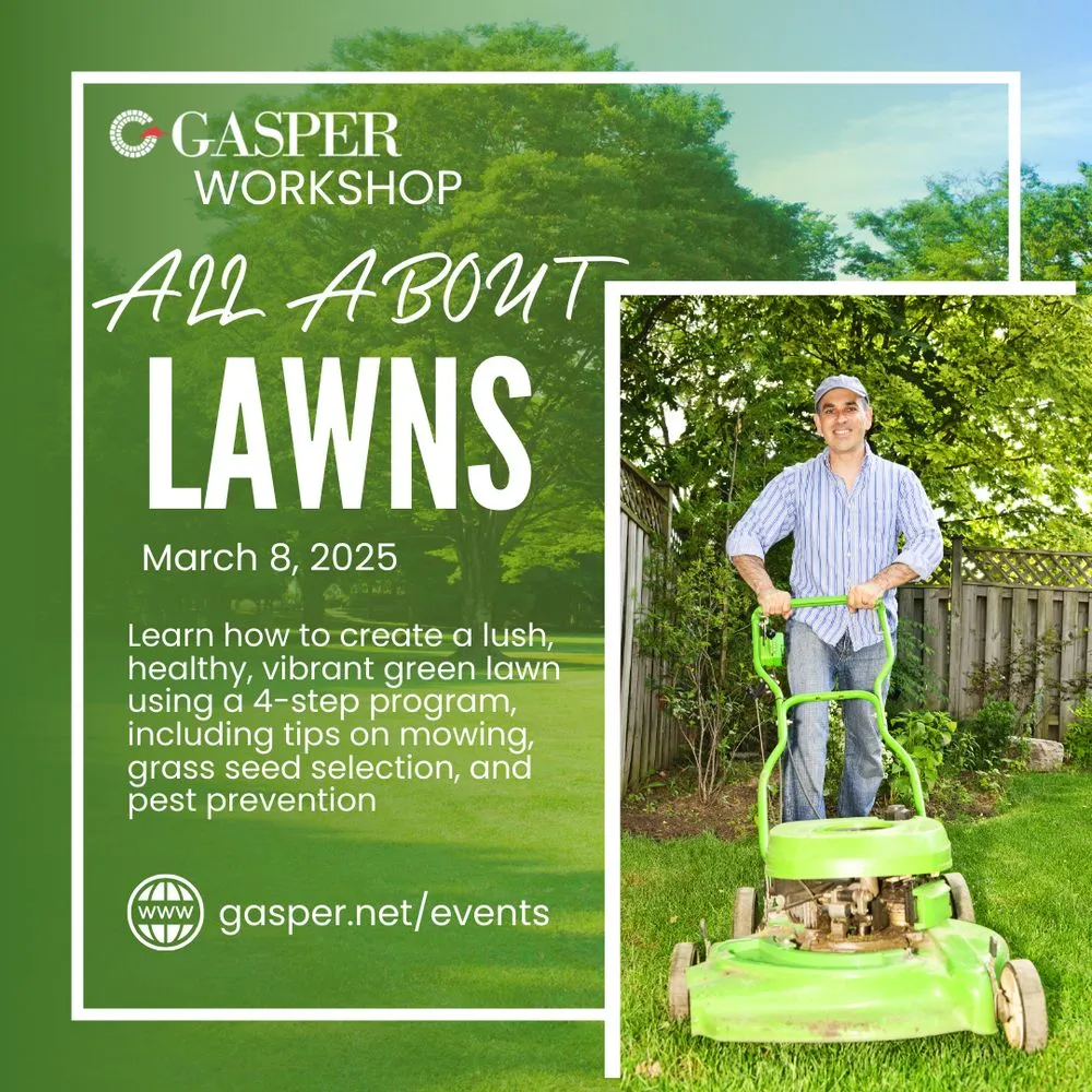 Professional outdoor landscaping with custom design across Richboro, PA - Gasper Home & Garden Center