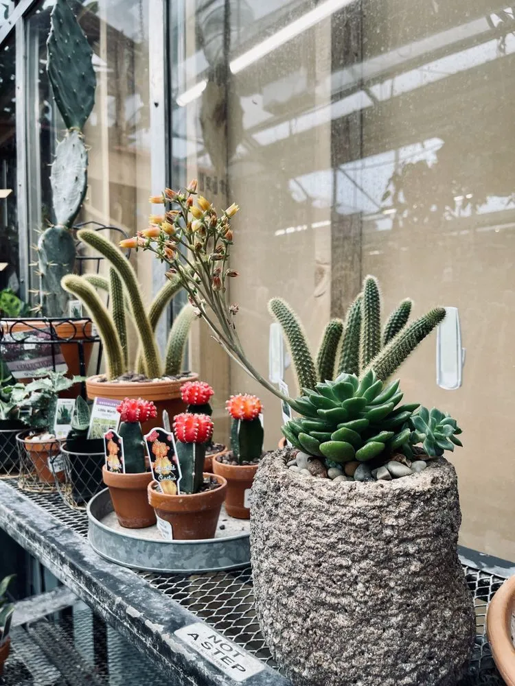 Trusted garden landscaping for beautiful yards in Richboro, PA by Gasper Home & Garden Center