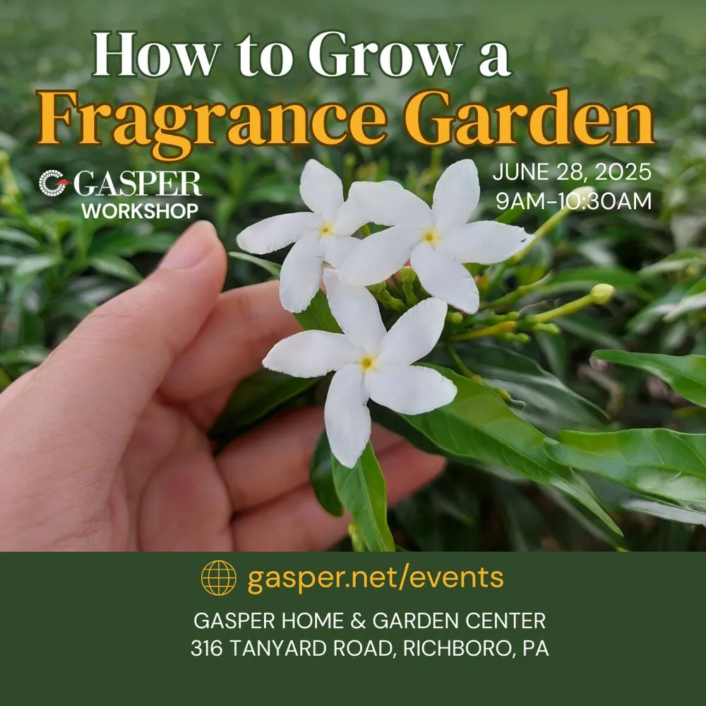 Custom landscape design in Richboro, PA - Gasper Home & Garden Center