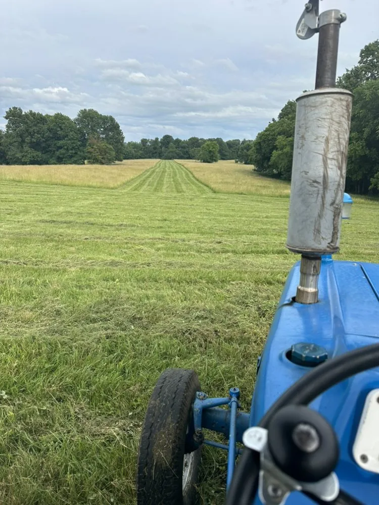 Reliable lawn mowing service in Bowling Green, KY - Gassaway Bush Hogging